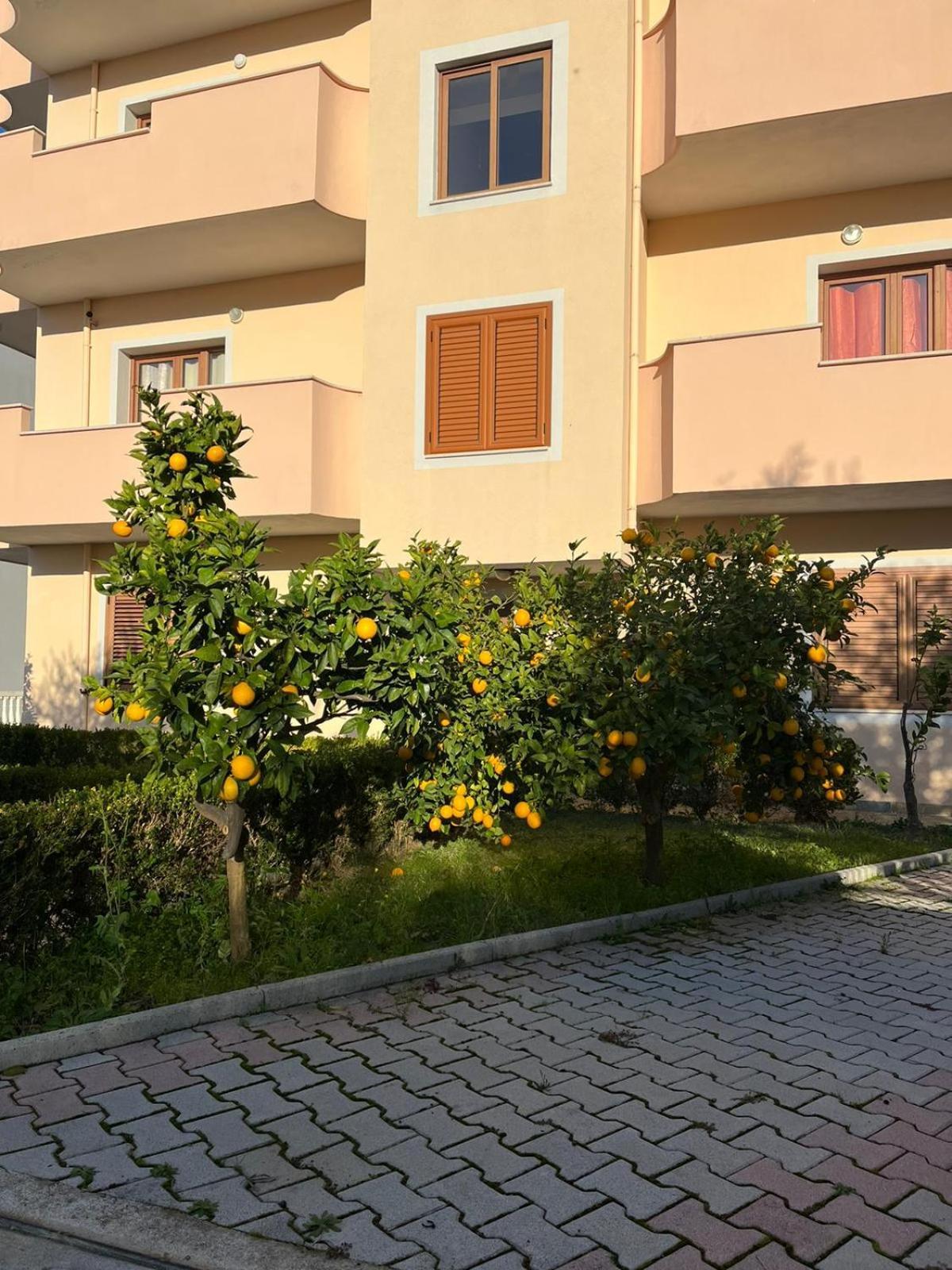 Villa Dei Limoni Škalngur Zewnętrze zdjęcie