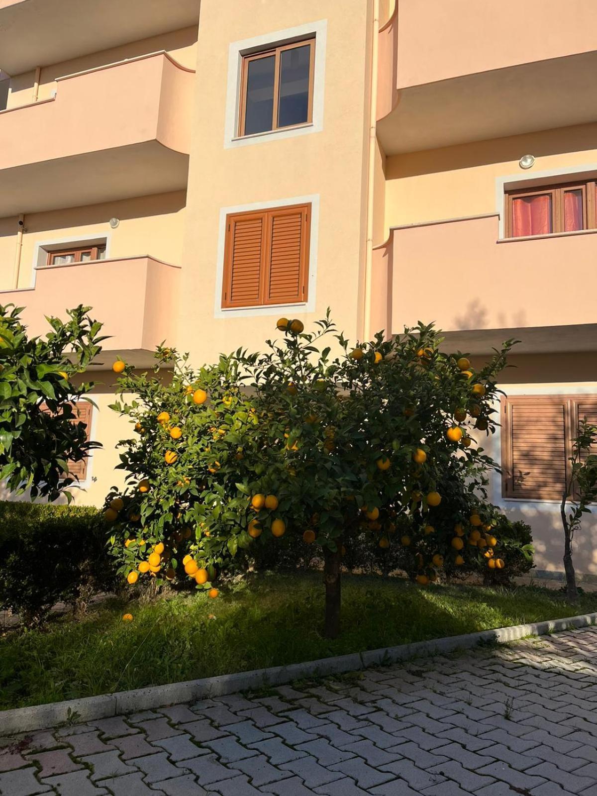 Villa Dei Limoni Škalngur Zewnętrze zdjęcie