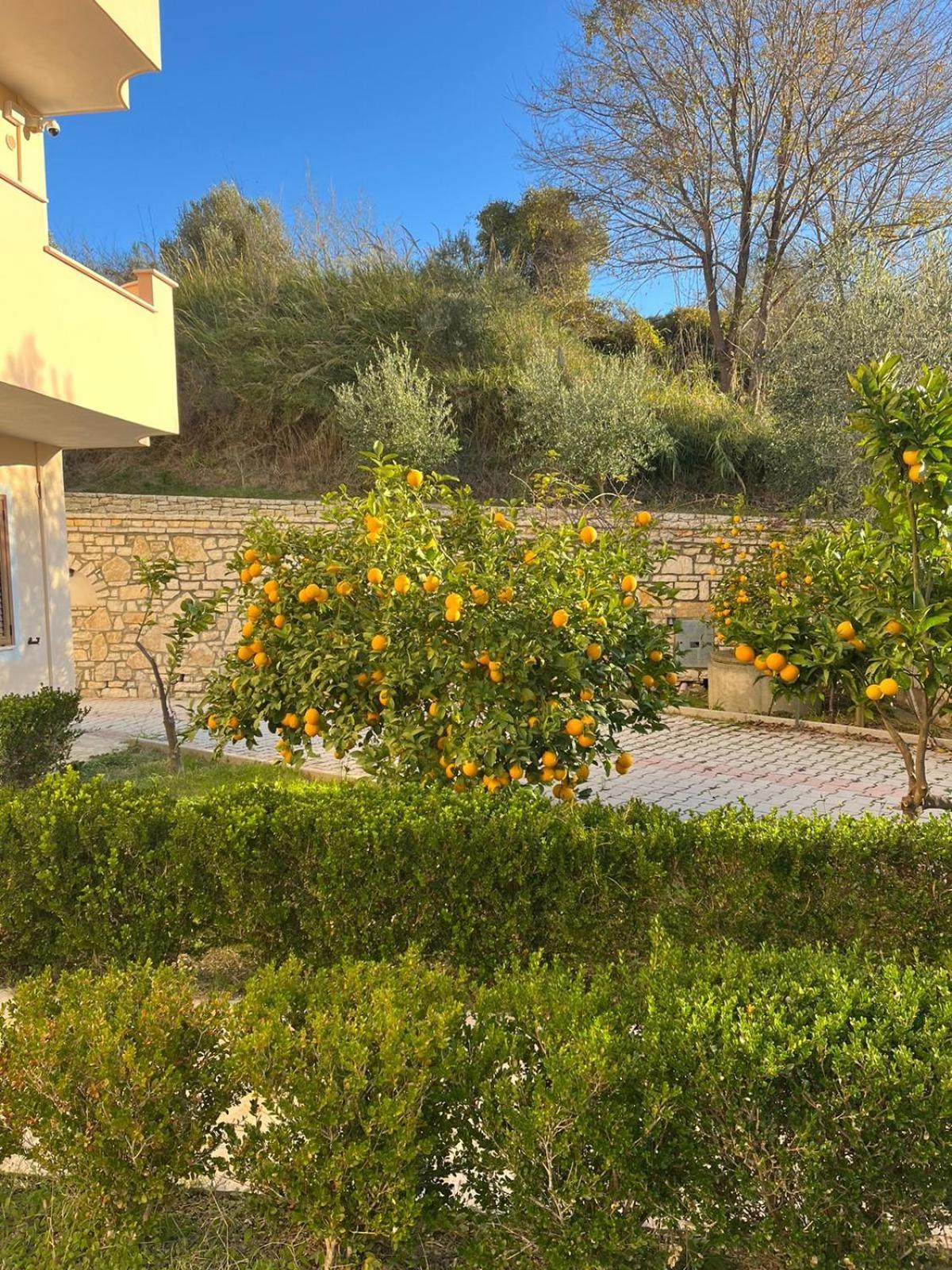 Villa Dei Limoni Škalngur Zewnętrze zdjęcie