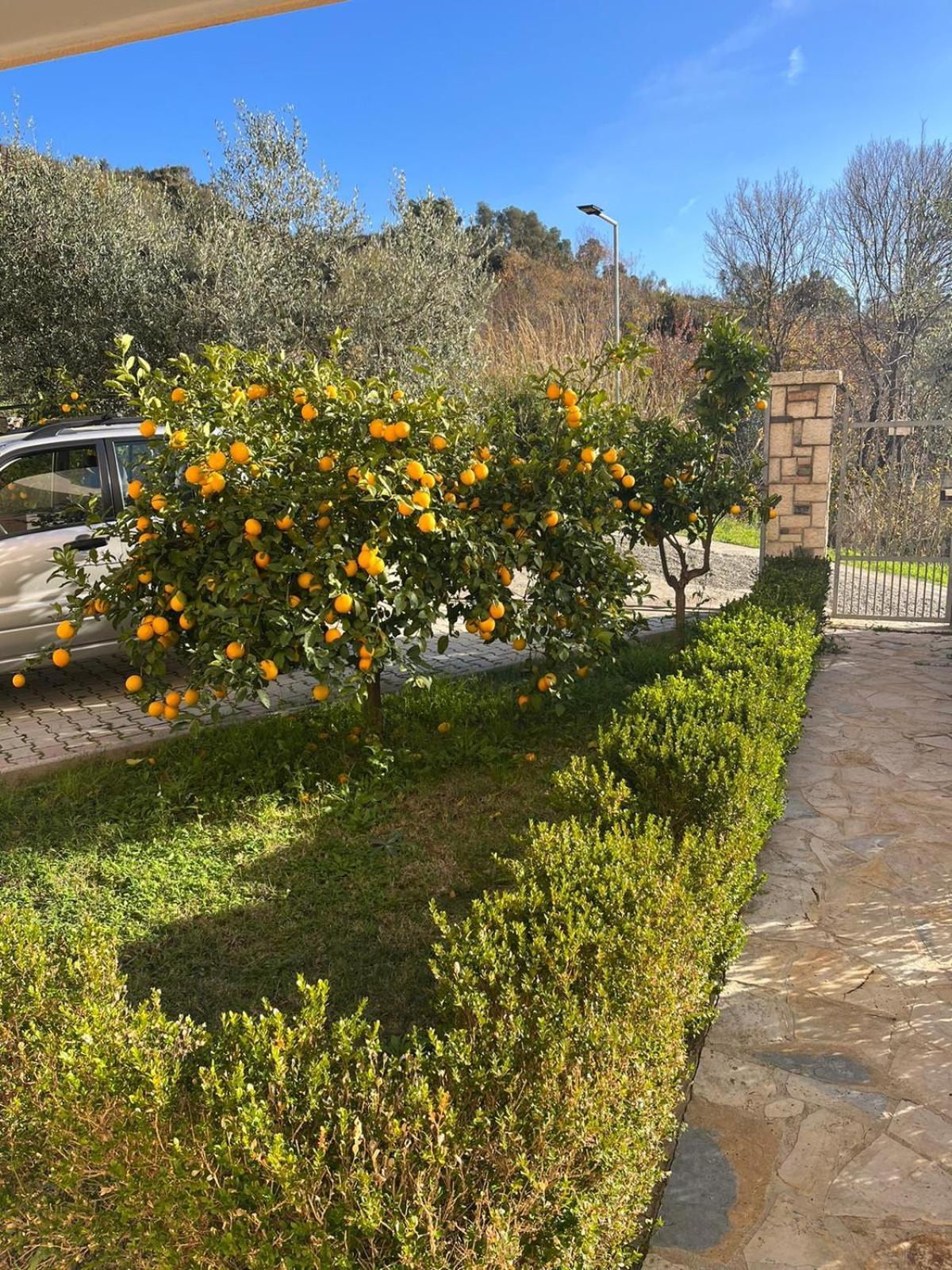 Villa Dei Limoni Škalngur Zewnętrze zdjęcie