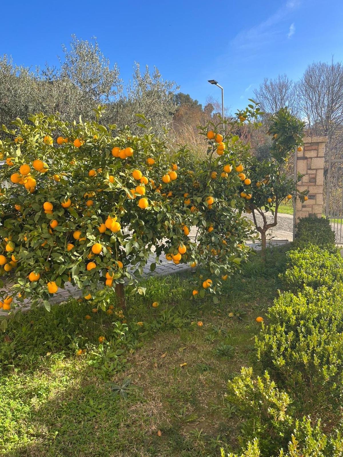 Villa Dei Limoni Škalngur Zewnętrze zdjęcie