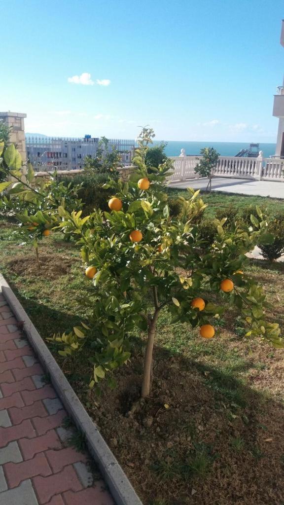 Villa Dei Limoni Škalngur Zewnętrze zdjęcie