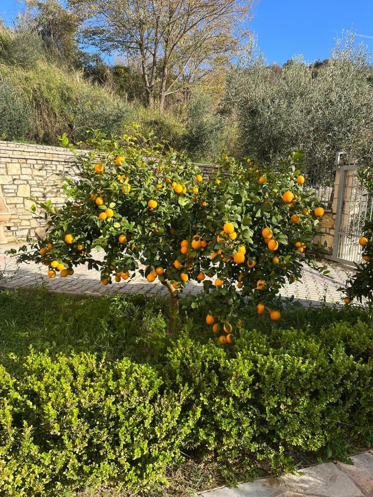 Villa Dei Limoni Škalngur Zewnętrze zdjęcie